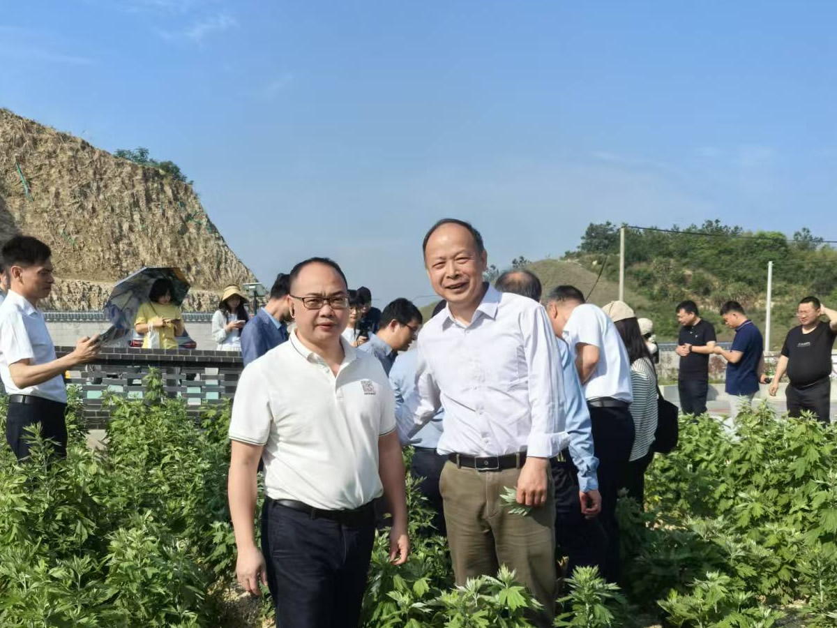 17465887943902.jpg 04.jpg