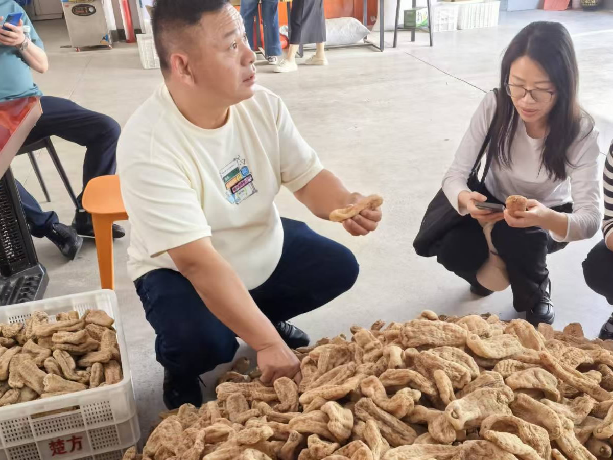 17465888051306.jpg 05.jpg